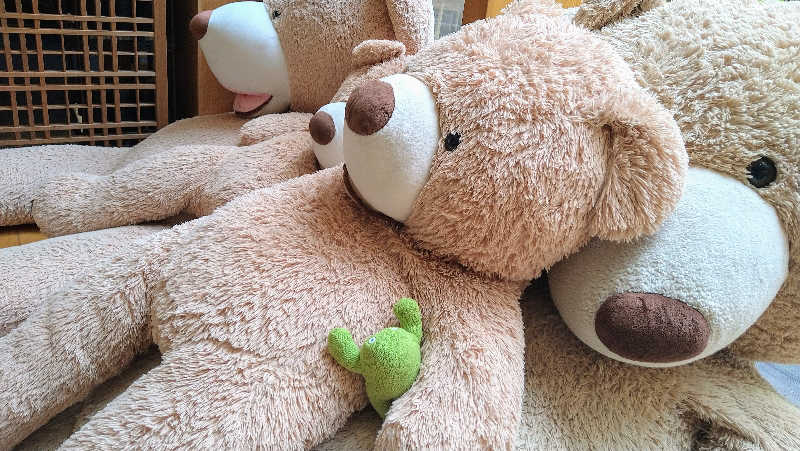 ムラたんさんの綱島源泉 湯けむりの庄のサ活写真