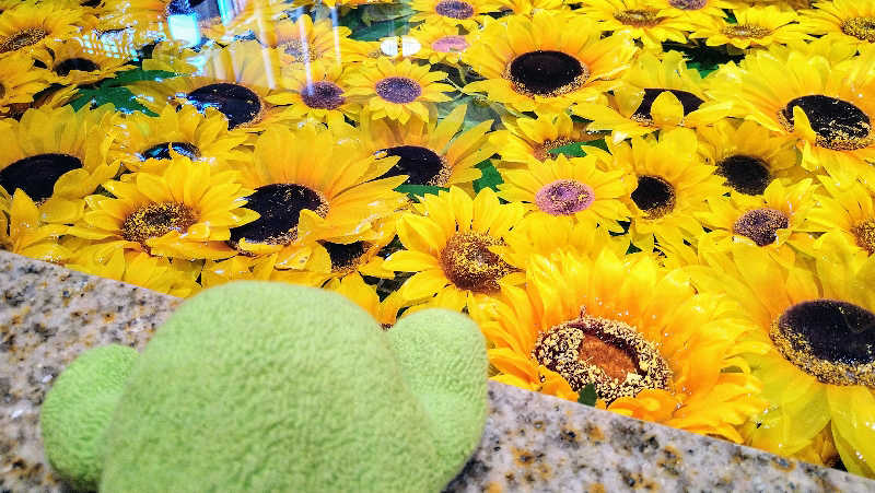 ムラたんさんの綱島源泉 湯けむりの庄のサ活写真