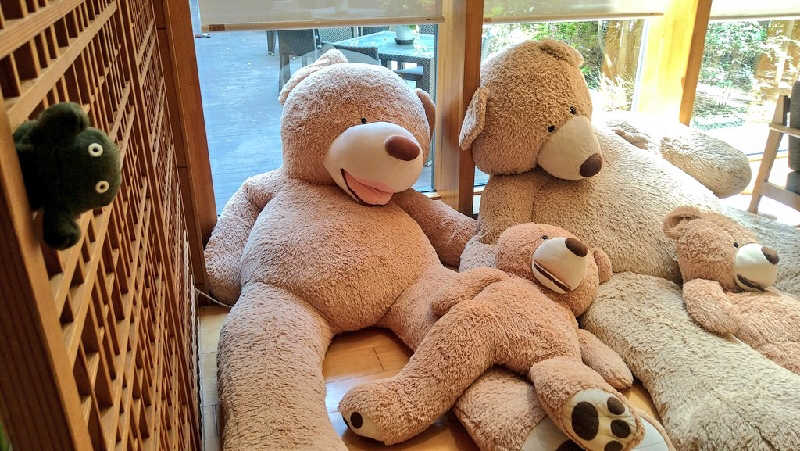 ムラたんさんの綱島源泉 湯けむりの庄のサ活写真