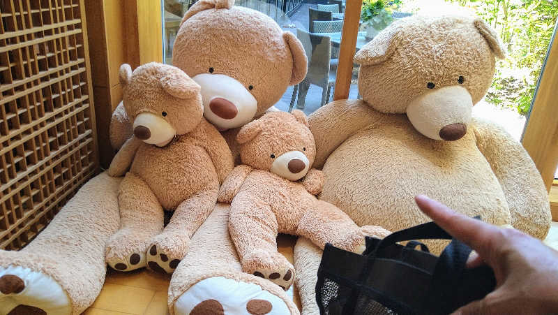 ムラたんさんの綱島源泉 湯けむりの庄のサ活写真