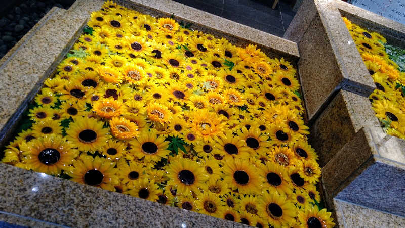 ムラたんさんの綱島源泉 湯けむりの庄のサ活写真