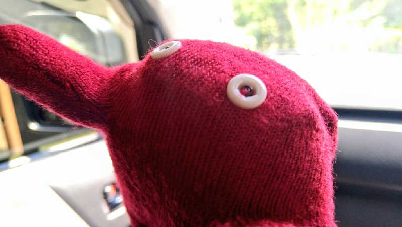 ムラたんさんの綱島源泉 湯けむりの庄のサ活写真