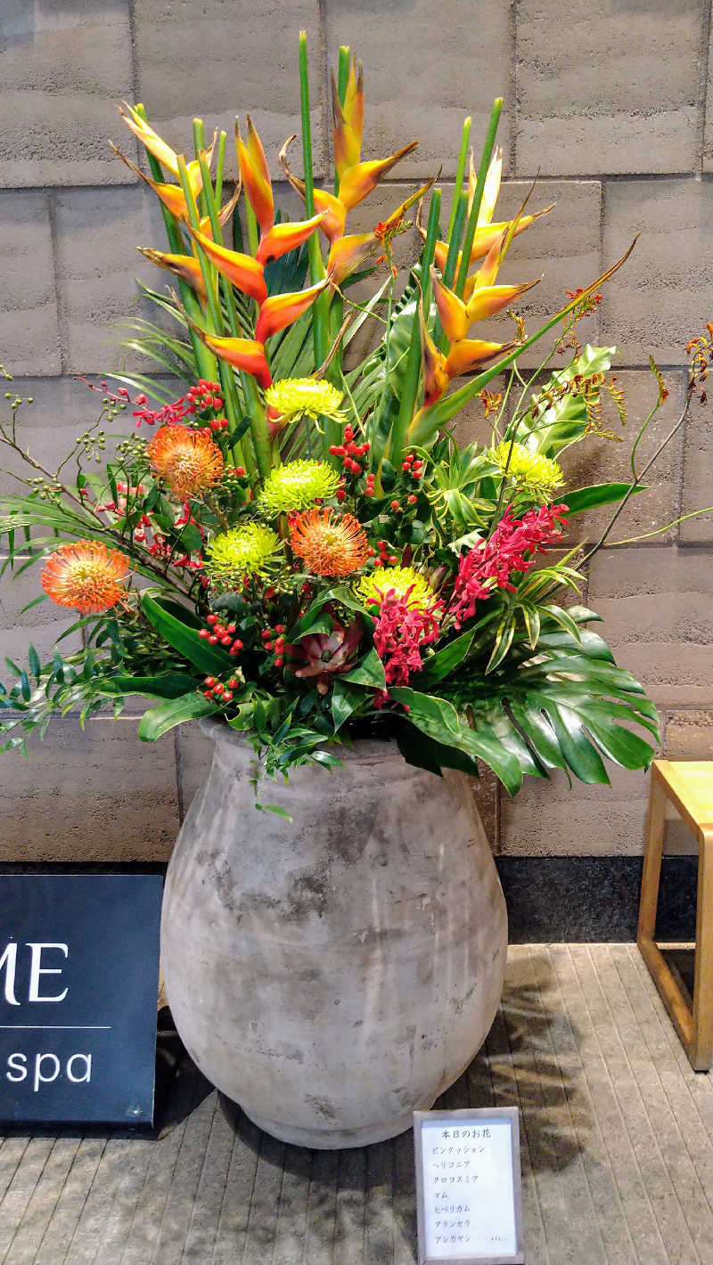 ムラたんさんの綱島源泉 湯けむりの庄のサ活写真