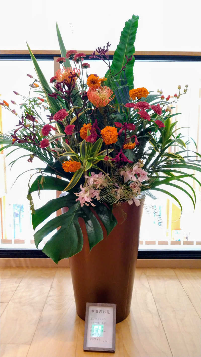 ムラたんさんの綱島源泉 湯けむりの庄のサ活写真