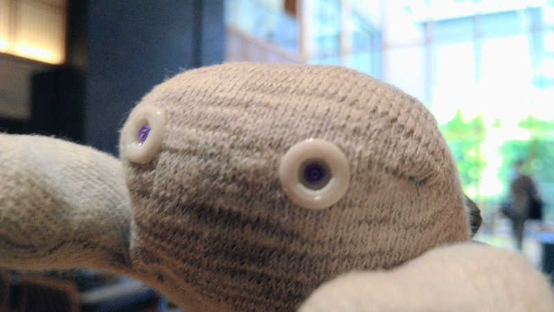 ムラたんさんの綱島源泉 湯けむりの庄のサ活写真