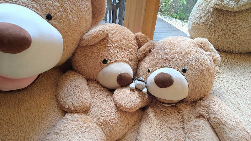 ムラたんさんの綱島源泉 湯けむりの庄のサ活写真