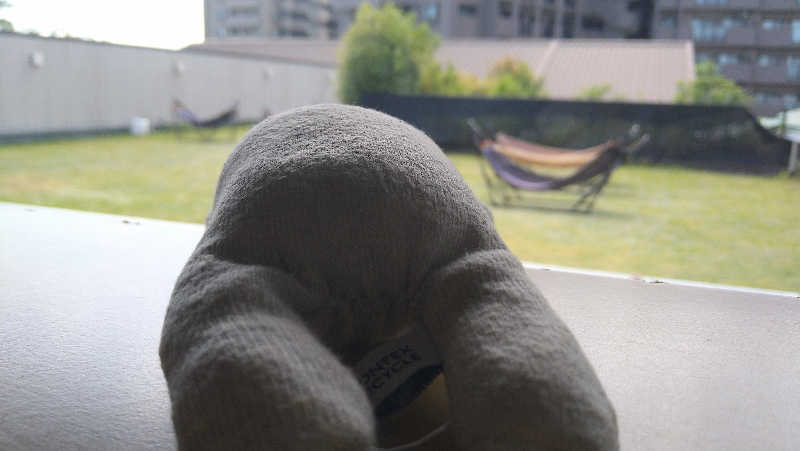 ムラたんさんの綱島源泉 湯けむりの庄のサ活写真