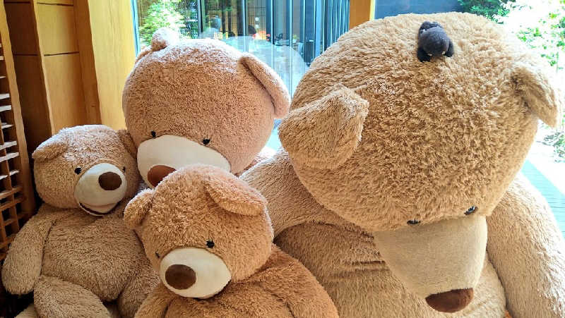 ムラたんさんの綱島源泉 湯けむりの庄のサ活写真