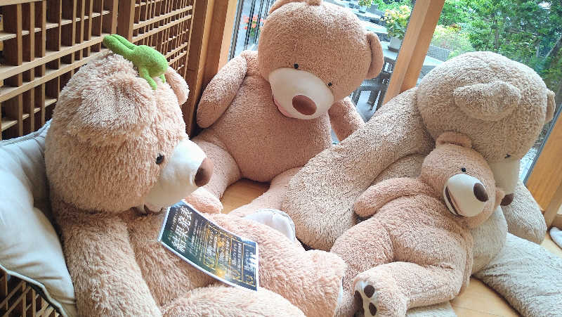 ムラたんさんの綱島源泉 湯けむりの庄のサ活写真