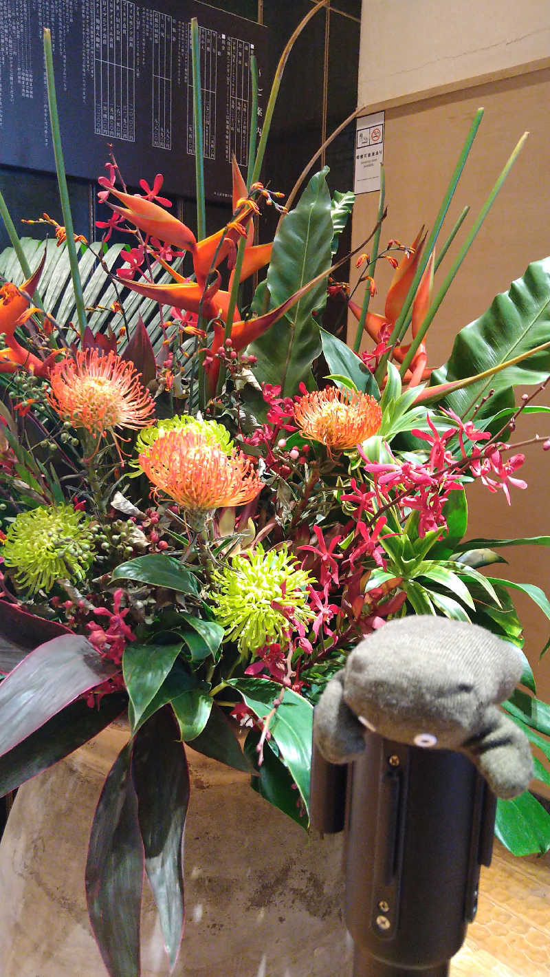 ムラたんさんの綱島源泉 湯けむりの庄のサ活写真