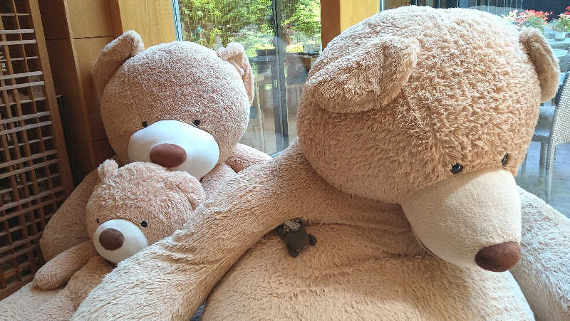 ムラたんさんの綱島源泉 湯けむりの庄のサ活写真