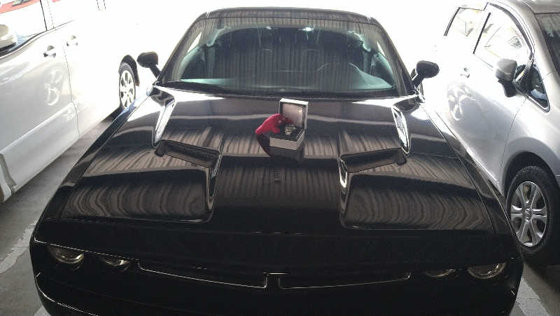 ムラたんさんの綱島源泉 湯けむりの庄のサ活写真