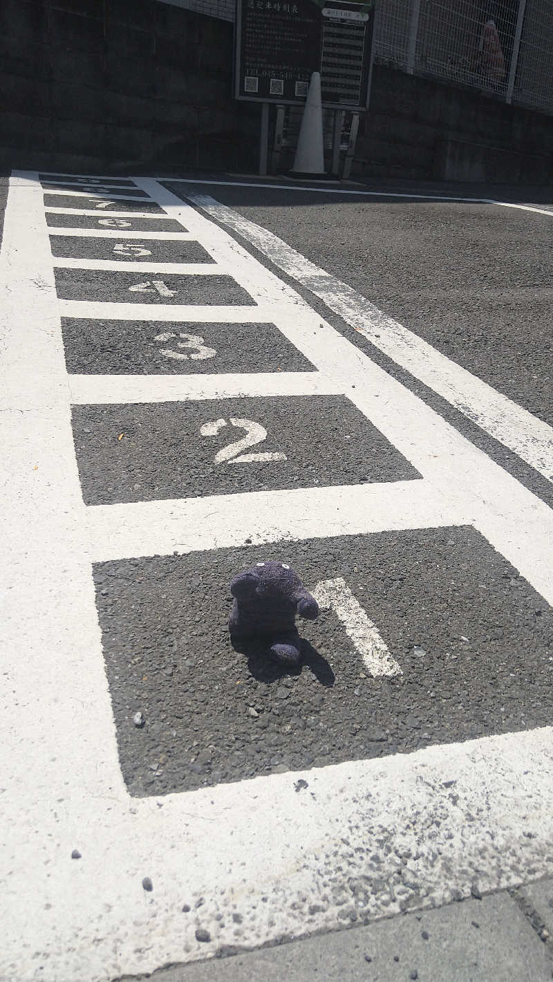 ムラたんさんの綱島源泉 湯けむりの庄のサ活写真