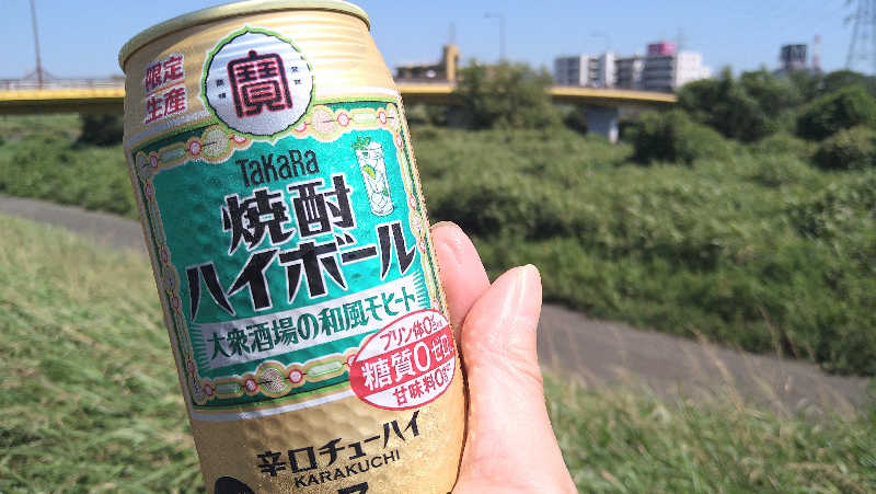 ムラたんさんの綱島源泉 湯けむりの庄のサ活写真