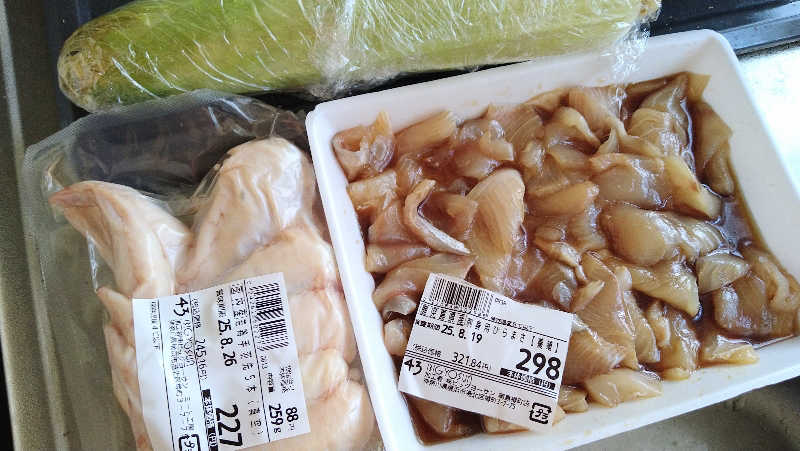 ムラたんさんの綱島源泉 湯けむりの庄のサ活写真