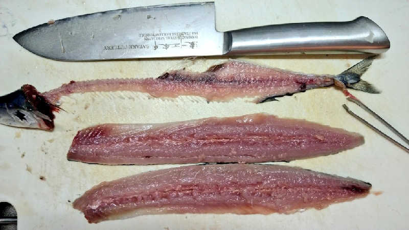 ムラたんさんの綱島源泉 湯けむりの庄のサ活写真