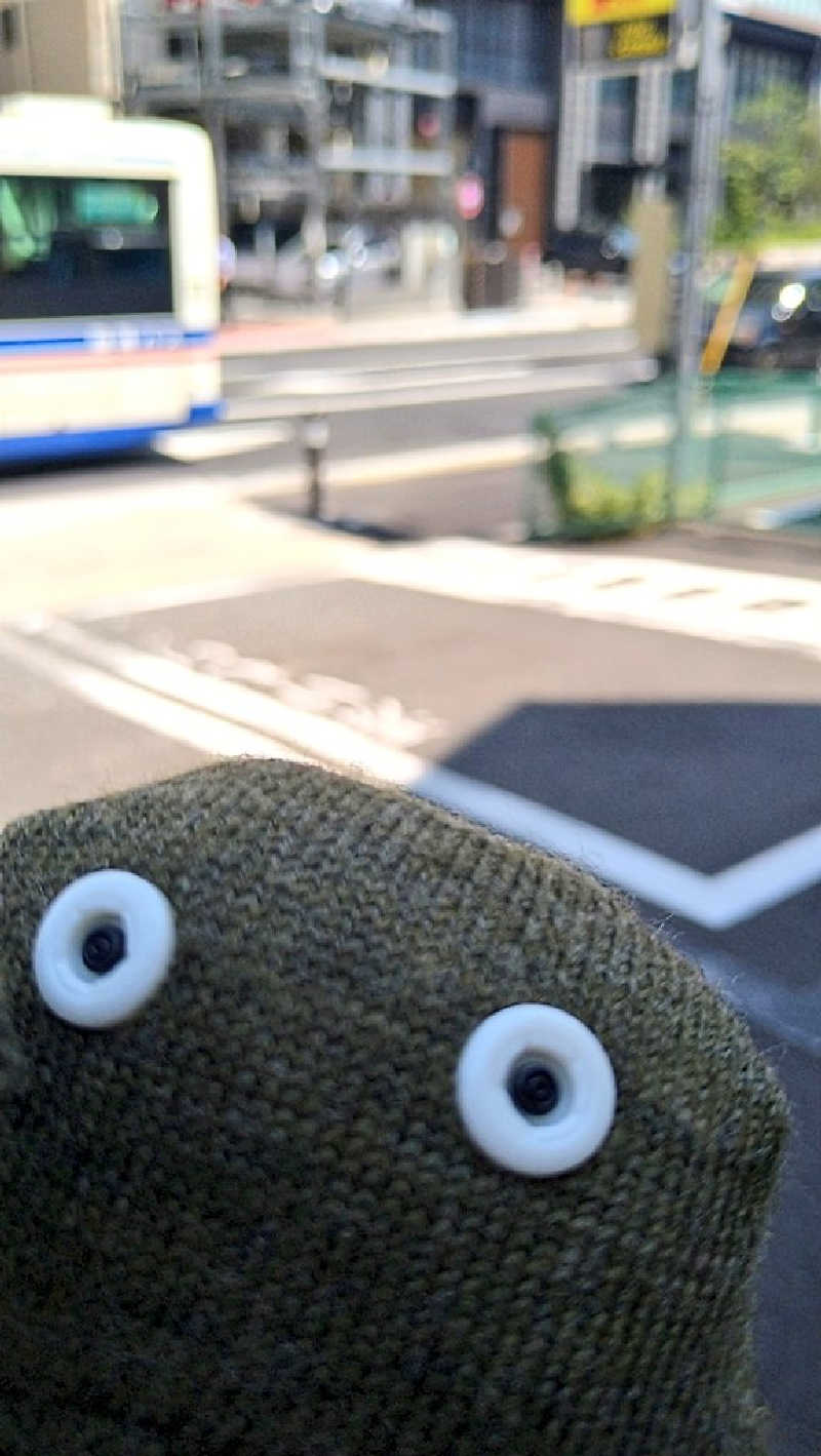 ムラたんさんの綱島源泉 湯けむりの庄のサ活写真