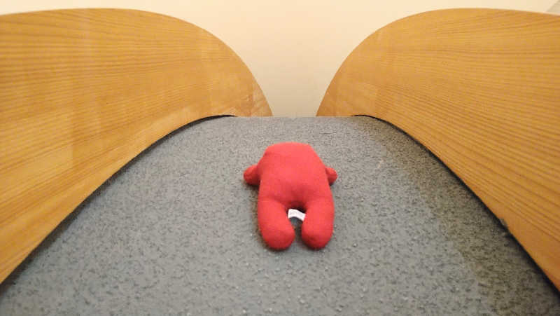 ムラたんさんの綱島源泉 湯けむりの庄のサ活写真