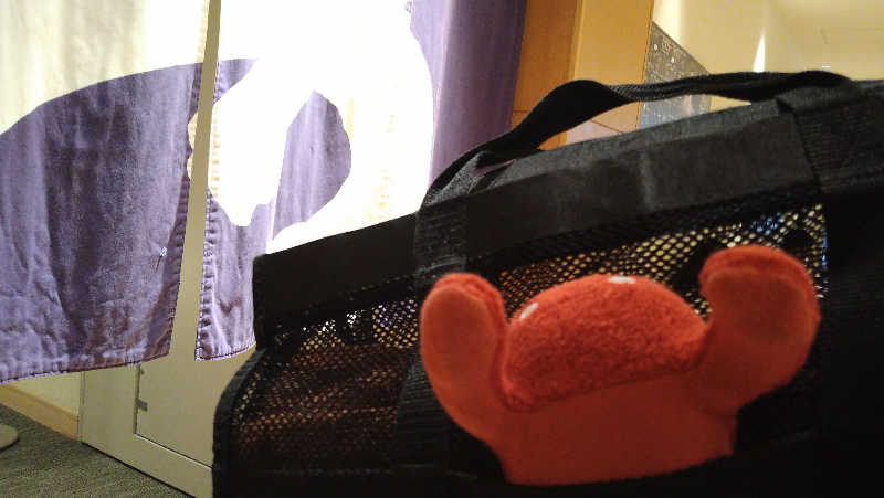 ムラたんさんの綱島源泉 湯けむりの庄のサ活写真