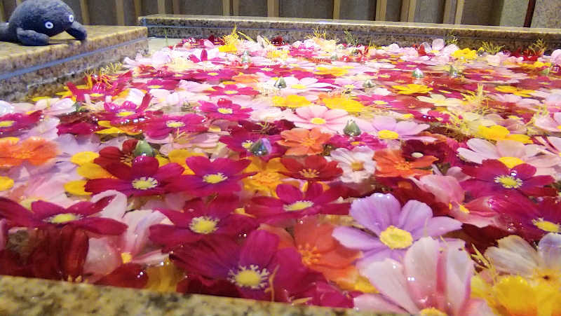 ムラたんさんの綱島源泉 湯けむりの庄のサ活写真