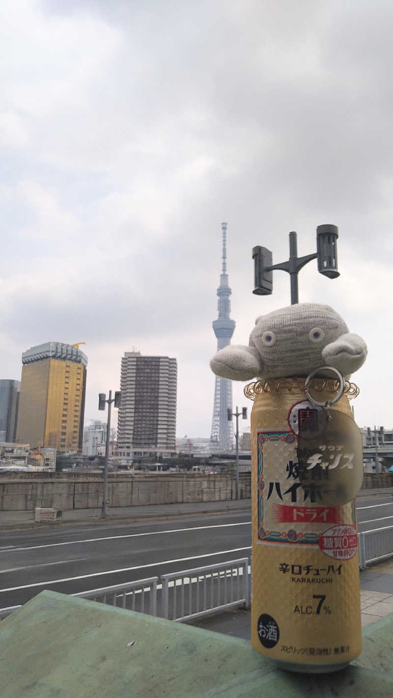 ムラたんさんの綱島源泉 湯けむりの庄のサ活写真