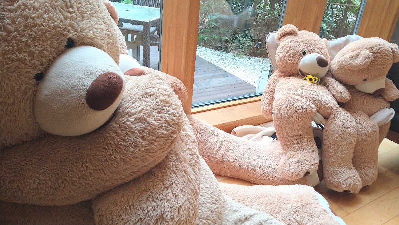 ムラたんさんの綱島源泉 湯けむりの庄のサ活写真