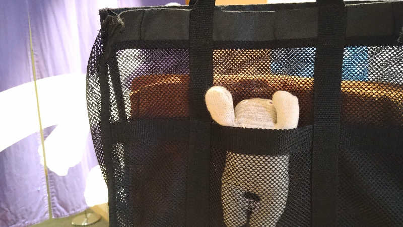 ムラたんさんの綱島源泉 湯けむりの庄のサ活写真