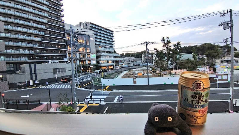 ムラたんさんの綱島源泉 湯けむりの庄のサ活写真