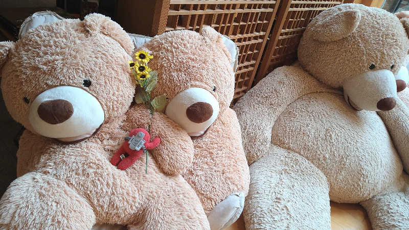 ムラたんさんの綱島源泉 湯けむりの庄のサ活写真