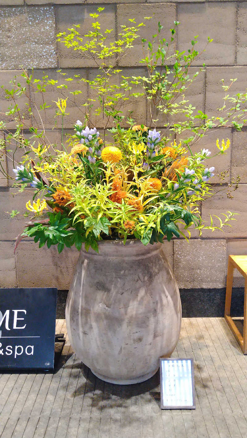 ムラたんさんの綱島源泉 湯けむりの庄のサ活写真