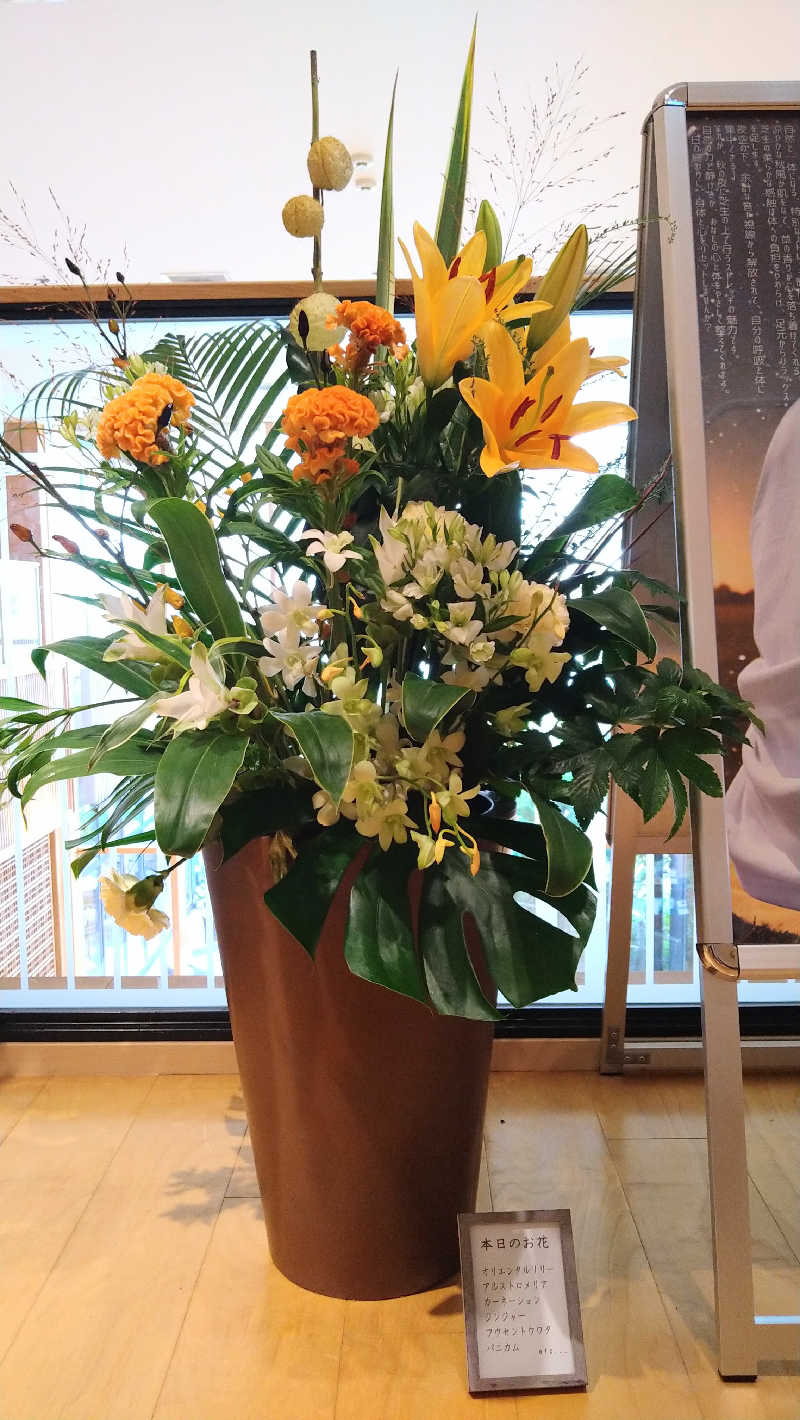 ムラたんさんの綱島源泉 湯けむりの庄のサ活写真