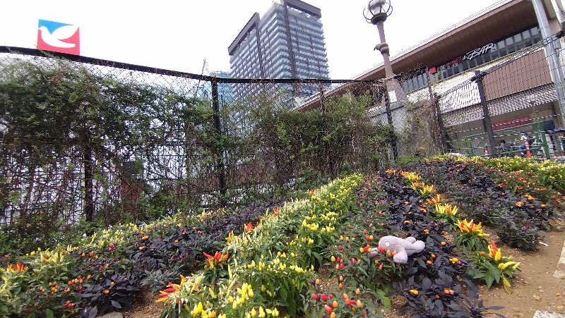 ムラたんさんのジェクサー・フィットネス&スパ 大井町のサ活写真