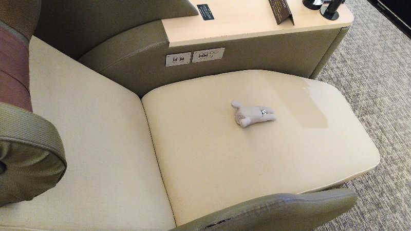 ムラたんさんの綱島源泉 湯けむりの庄のサ活写真