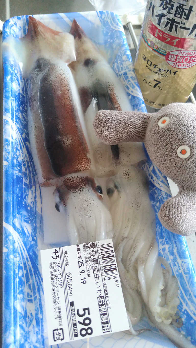 ムラたんさんの綱島源泉 湯けむりの庄のサ活写真