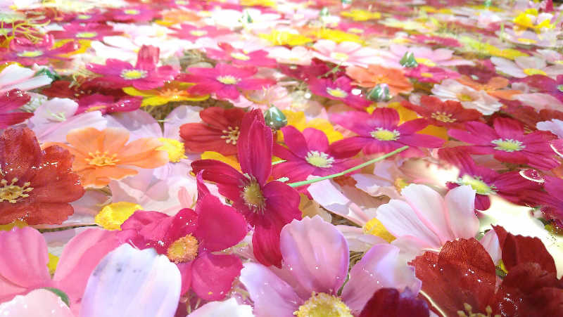 ムラたんさんの綱島源泉 湯けむりの庄のサ活写真