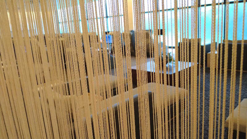 ムラたんさんの綱島源泉 湯けむりの庄のサ活写真