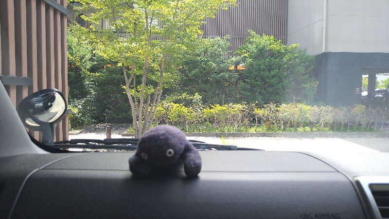 ムラたんさんの綱島源泉 湯けむりの庄のサ活写真