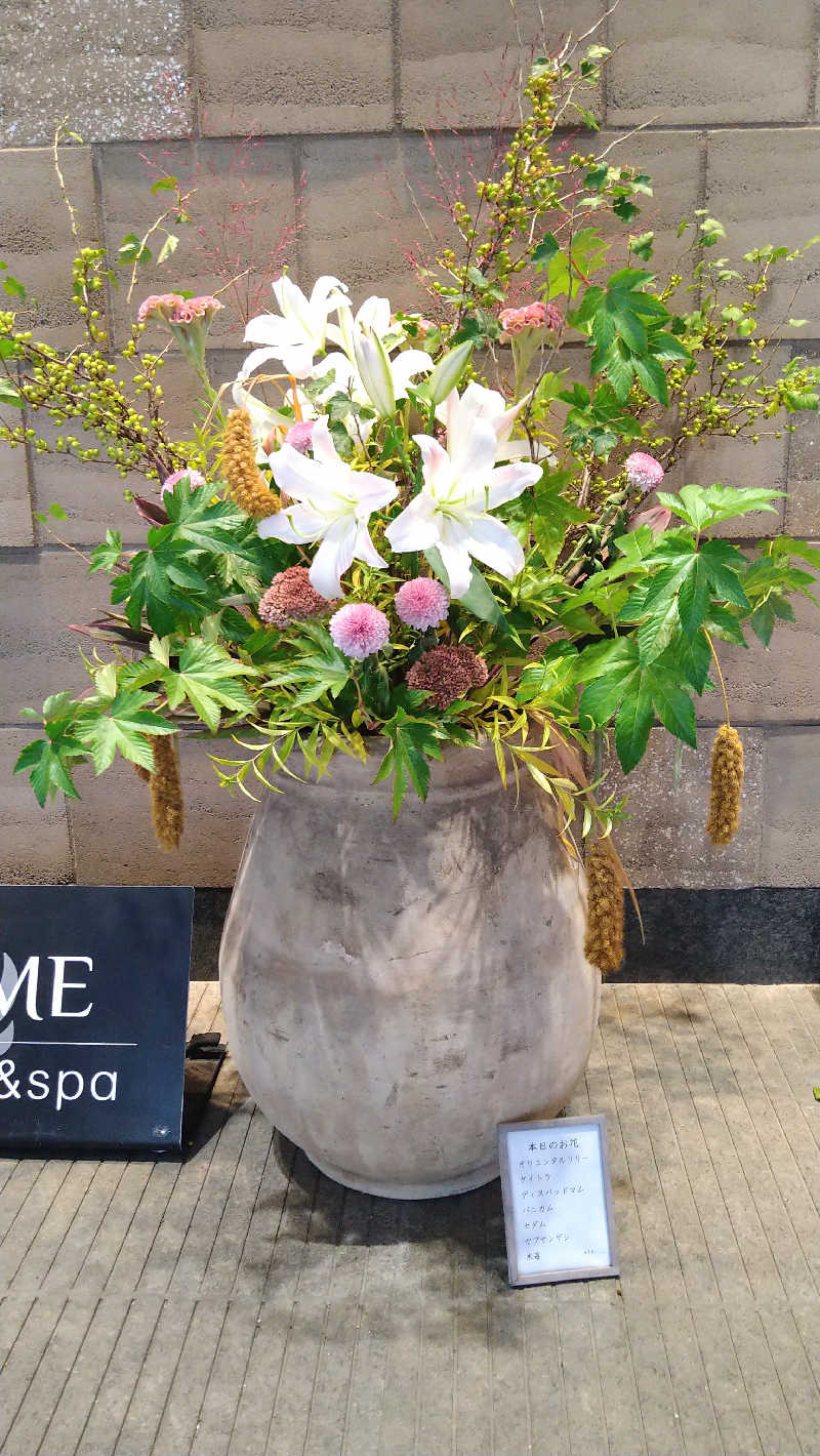 ムラたんさんの綱島源泉 湯けむりの庄のサ活写真