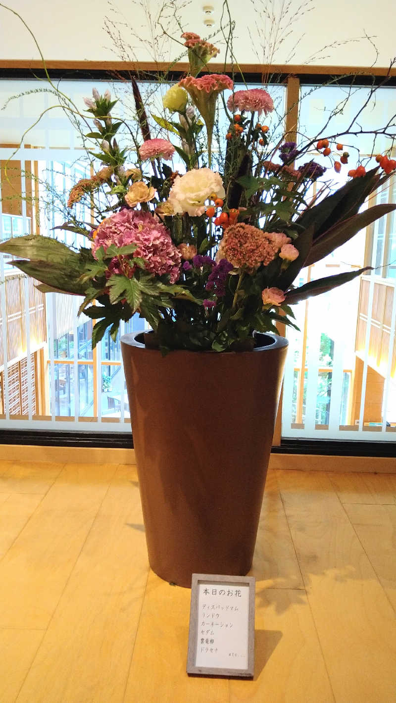 ムラたんさんの綱島源泉 湯けむりの庄のサ活写真