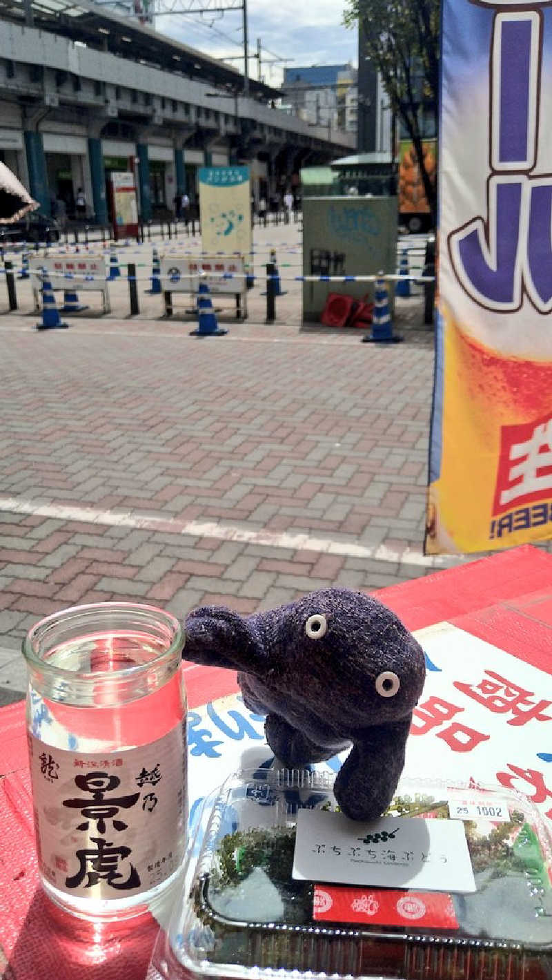 ムラたんさんの綱島源泉 湯けむりの庄のサ活写真