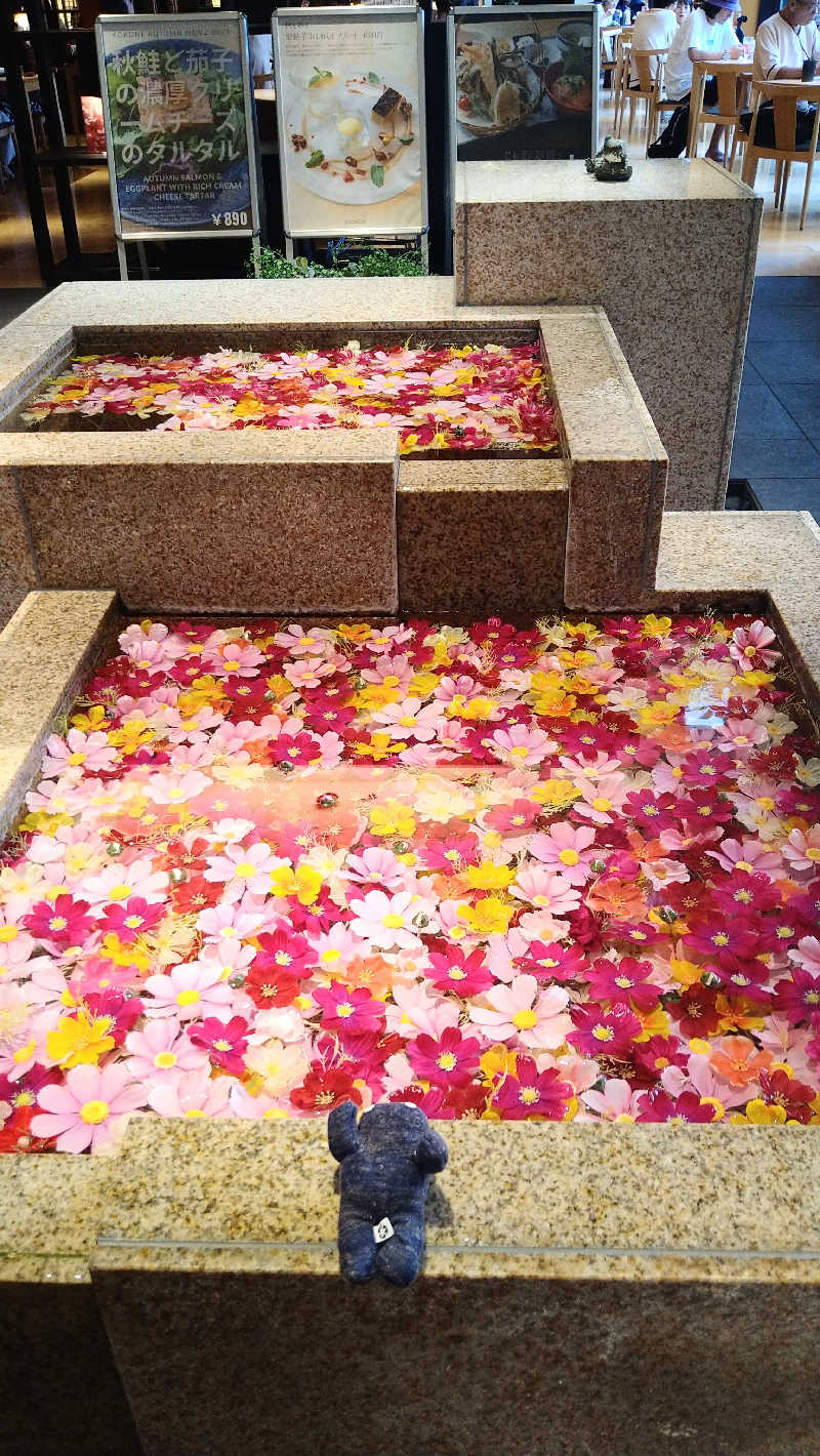 ムラたんさんの綱島源泉 湯けむりの庄のサ活写真