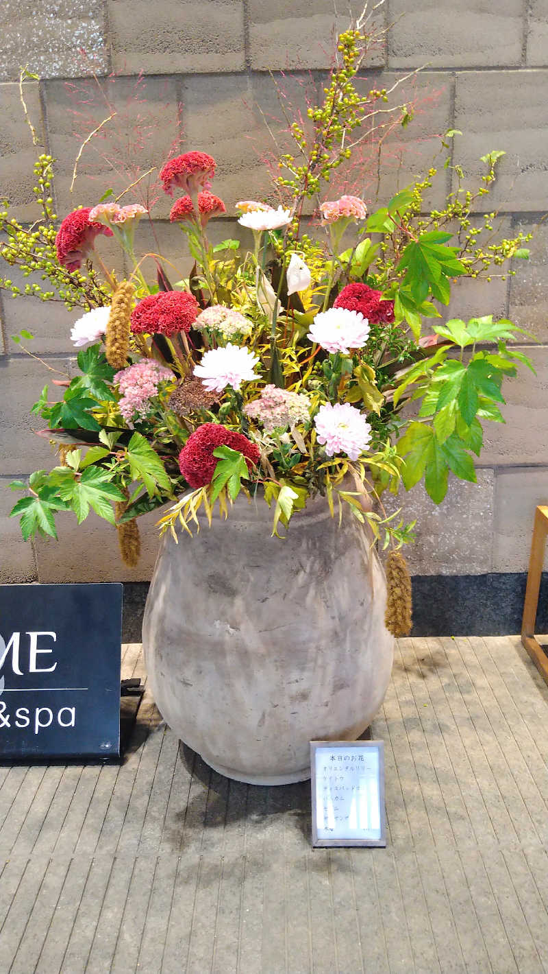 ムラたんさんの綱島源泉 湯けむりの庄のサ活写真