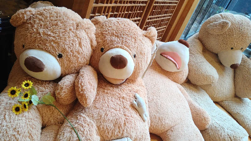 ムラたんさんの綱島源泉 湯けむりの庄のサ活写真