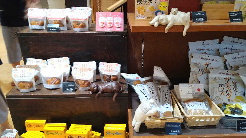 ムラたんさんの綱島源泉 湯けむりの庄のサ活写真