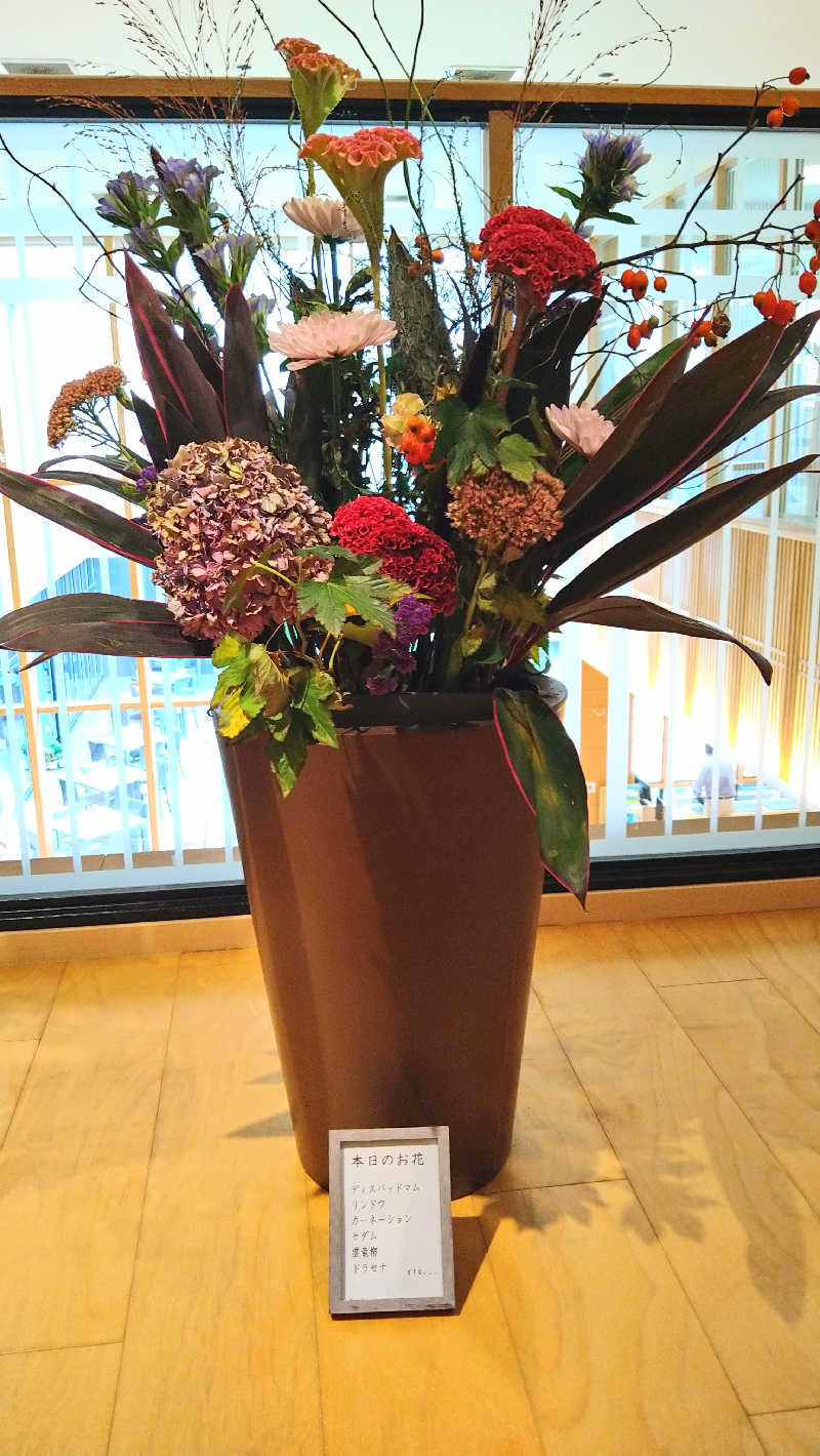 ムラたんさんの綱島源泉 湯けむりの庄のサ活写真