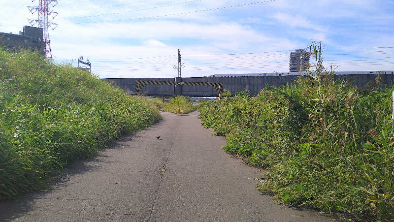 ムラたんさんの綱島源泉 湯けむりの庄のサ活写真