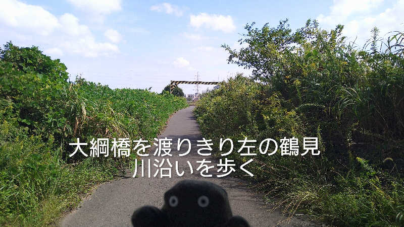 ムラたんさんの綱島源泉 湯けむりの庄のサ活写真