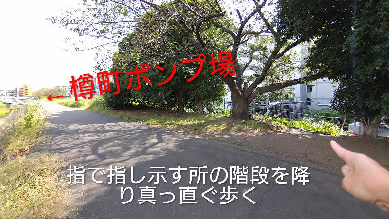 ムラたんさんの綱島源泉 湯けむりの庄のサ活写真