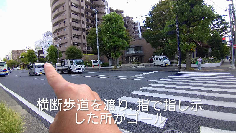 ムラたんさんの綱島源泉 湯けむりの庄のサ活写真