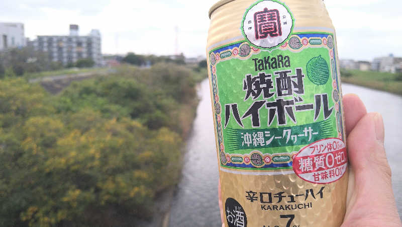 ムラたんさんの綱島源泉 湯けむりの庄のサ活写真